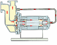 河北z型自吸型屏蔽泵